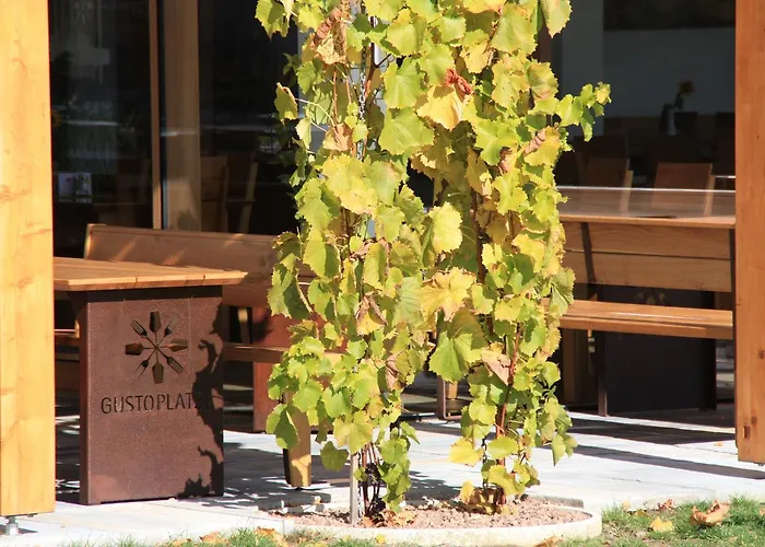 Mini-hôtel Gustoplatzl *